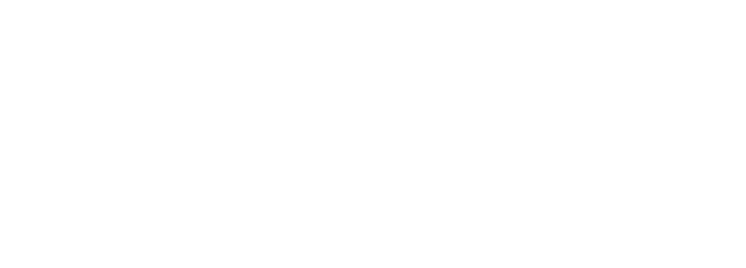 TecnoLav – Logo blanco